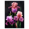 5D DIY Full Drill Diamond Painting Flower 30x40cm