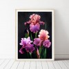 5D DIY Full Drill Diamond Painting Flower 30x40cm