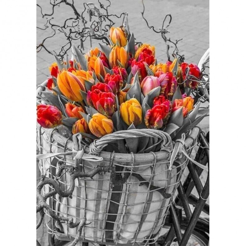 Colorful Tulips Squa...