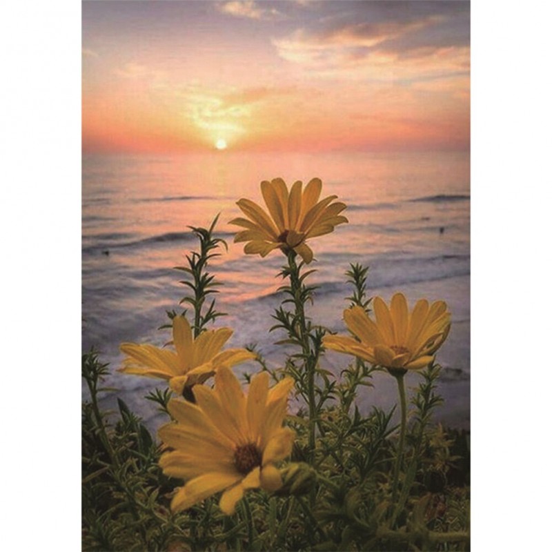Sunset Flowers - Ful...