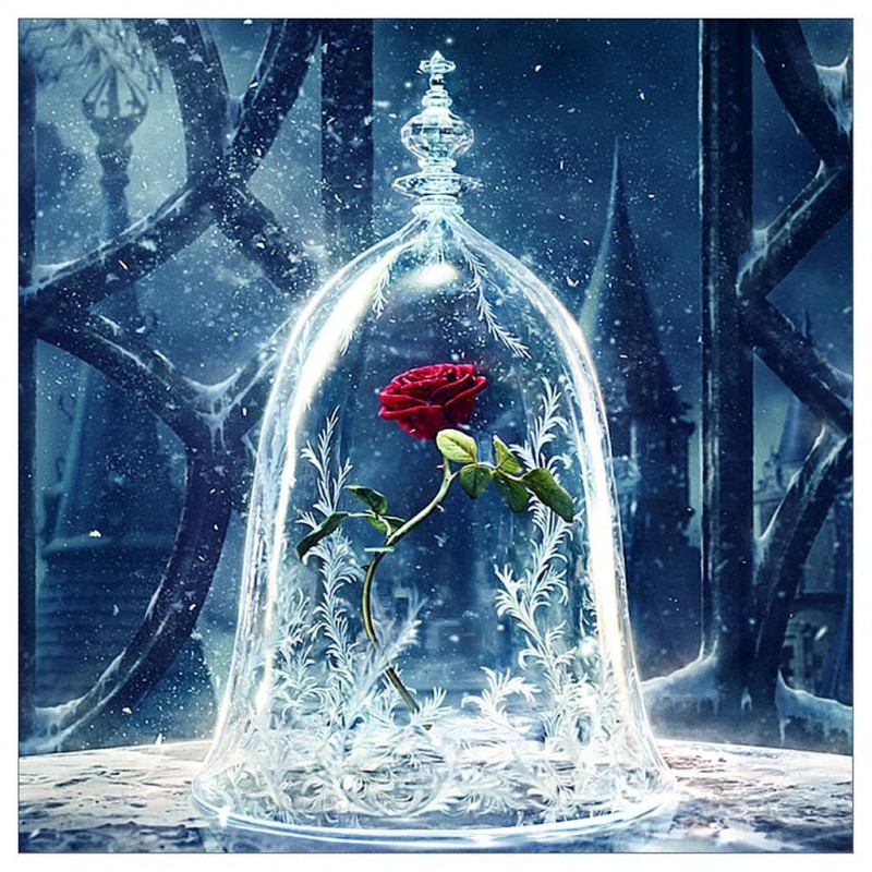 Fantasy Rose - Full ...