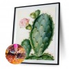 Cactus - Full Round Diamond - 30x40cm