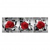 3pcs/set Red Rose-Full Round Diamond Painting - 95x34cm