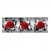 3pcs/set Red Rose-Full Round Diamond Painting - 95x34cm