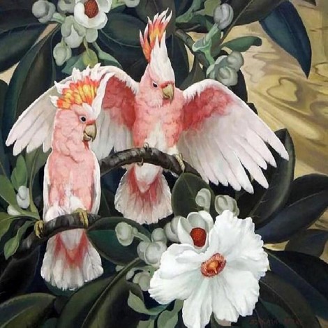 Bird and Flower - Full Diamond Painting - 30x30cm