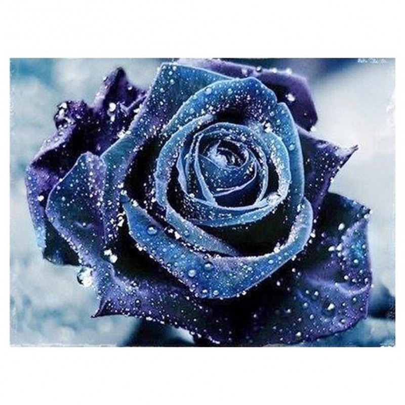 Blue Rose - Partial ...