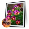 Blossom Flowers  - Full Round Diamond - 30x40cm