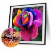 Colorful Flower - Full Round Diamond - 30x30cm
