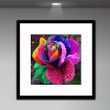 Colorful Flower - Full Round Diamond - 30x30cm