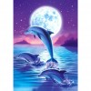 Dolphin-Round Diamond-30*40CM