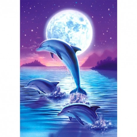 Dolphin-Round Diamond-30*40CM