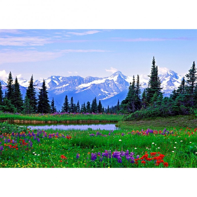 Field Flowers  - Ful...