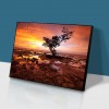 Dead Wood - Full Round Diamond - 40*30cm