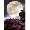 Bright Moonlight - Full Round Diamond - 30x40cm