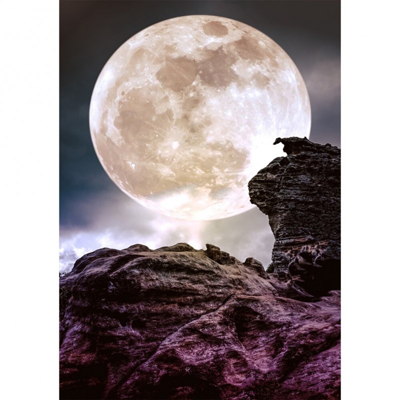 Bright Moonlight - F...