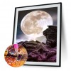 Bright Moonlight - Full Round Diamond - 30x40cm