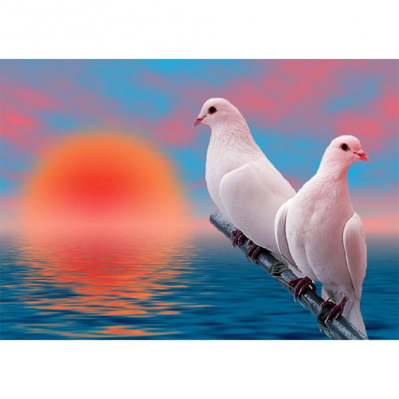 Two Pigeons Animal -...