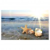 Beachside Shell - Full Diamond Painting - 40x30cm