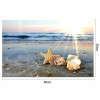 Beachside Shell - Full Diamond Painting - 40x30cm