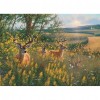 Deer Nature  - Full Round Diamond - 40x30cm