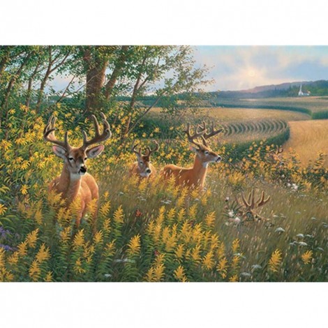 Deer Nature  - Full Round Diamond - 40x30cm