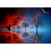 Dance Under The Moon - Full Round Diamond - 40*30cm