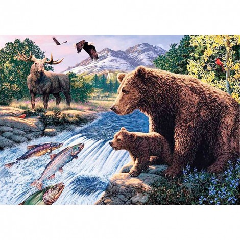 Animals World - Full Round Diamond - 40x30cm