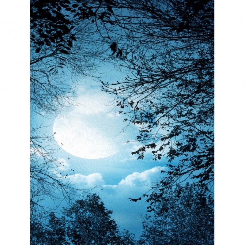 Blue Moon - Full Rou...