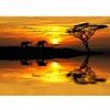 Dusk And Elephant - Full Round Diamond - 40*30cm