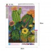 Cactus-Round Diamond-30*40CM