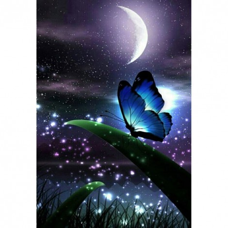 Butterfly-Round Diamond-30*40CM