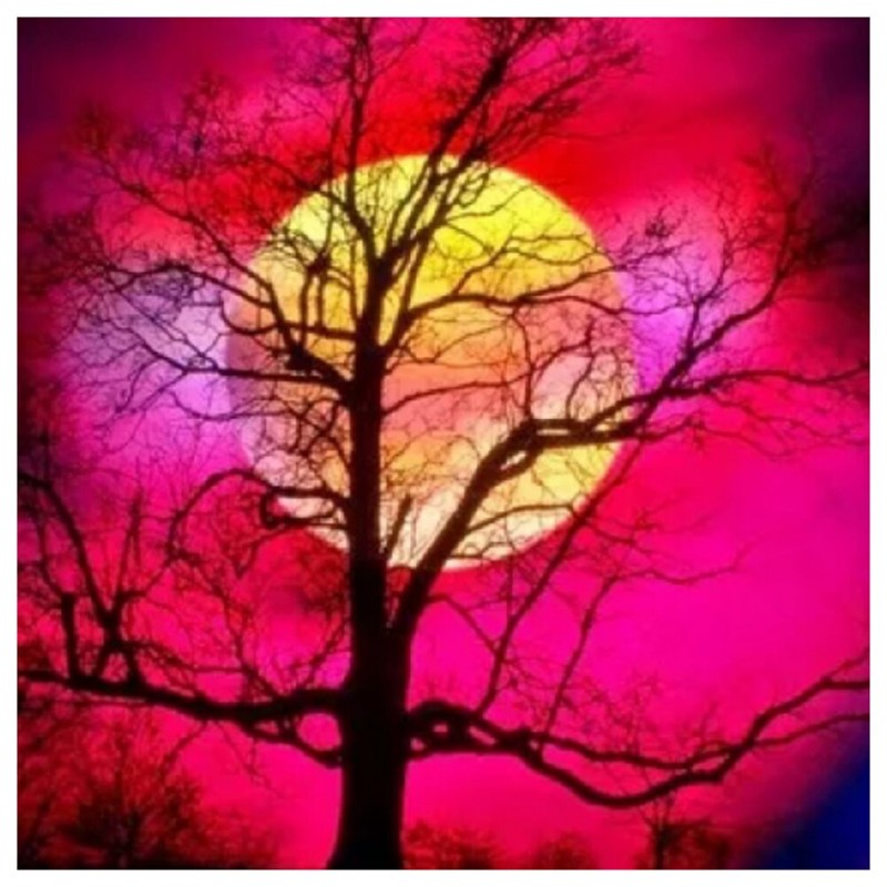 Tree Moon  - Full Di...