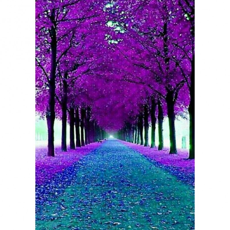 Fantasy Forest - Ful...