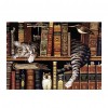 Bookshelf Cat 5D DIY Diamond Painting