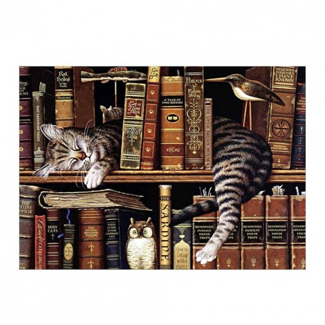 Bookshelf Cat 5D DIY Diamond Painting