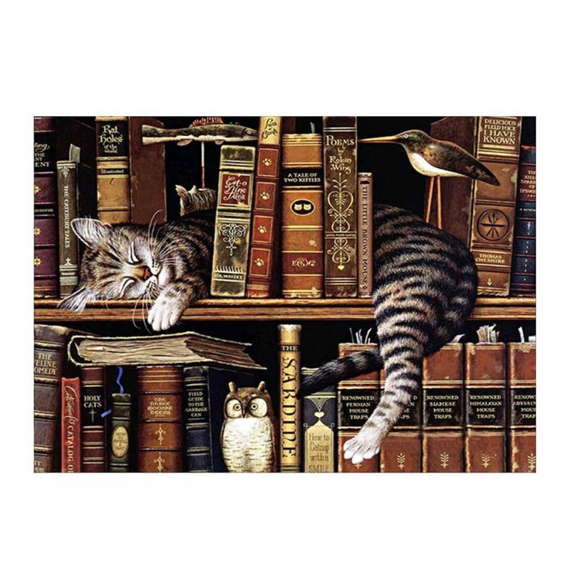 Bookshelf Cat 5D DIY...