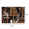 Bookshelf Cat 5D DIY Diamond Painting