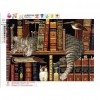 Bookshelf Cat 5D DIY Diamond Painting