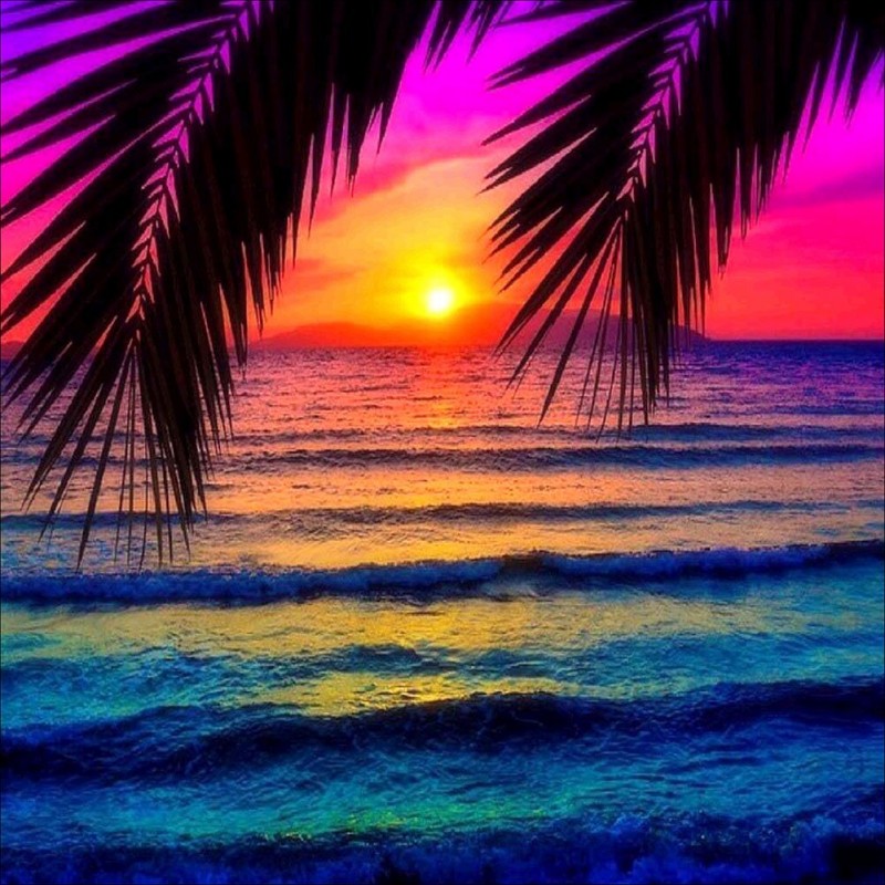Coconut Tree Sunset ...