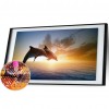 Dolphin - Full Round Diamond - 80x40cm