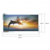 Dolphin - Full Round Diamond - 80x40cm