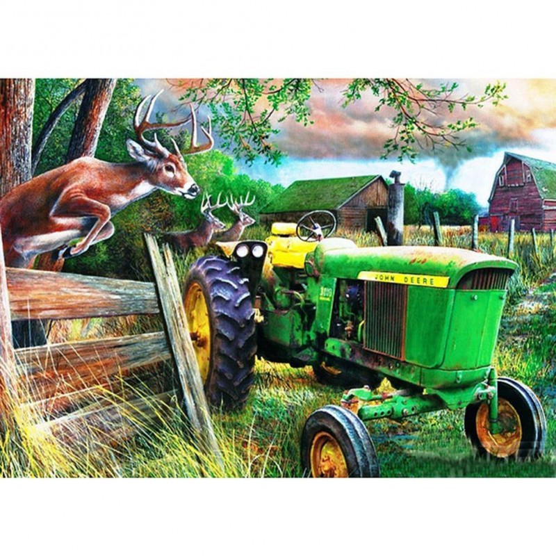 Farm Deer - Full Rou...