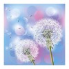 Dandelion  - Full Diamond Painting - 30x30cm