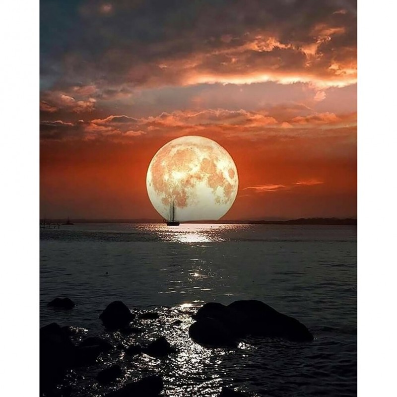 Fantasy Nature  - Fu...