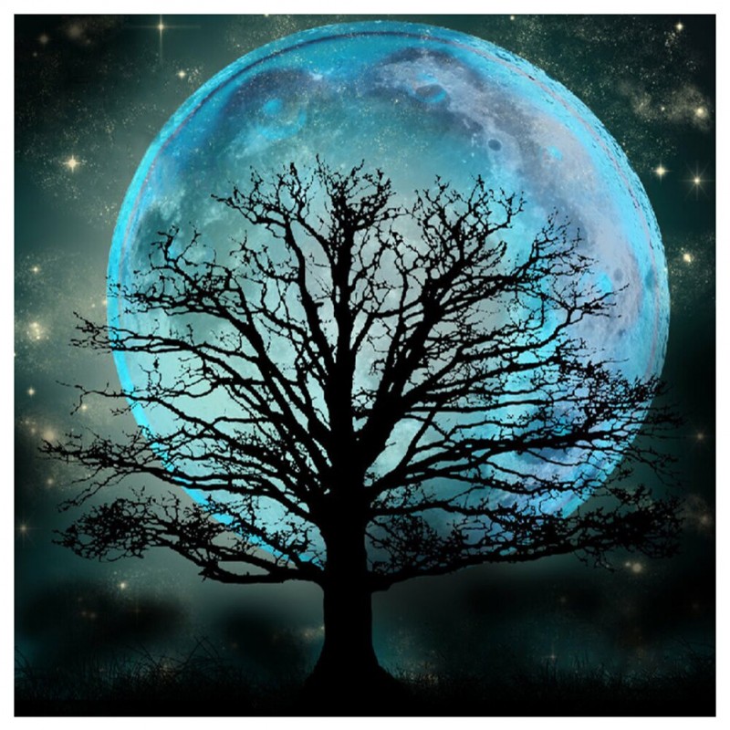 Tree Moon  - Full Di...