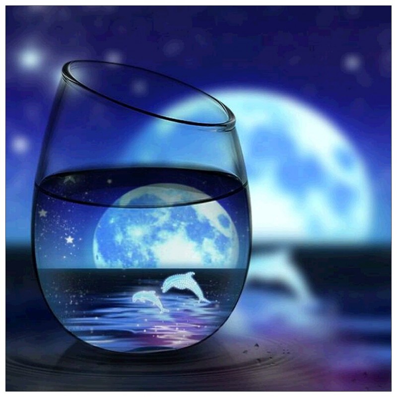 Fantasy  - Full Roun...
