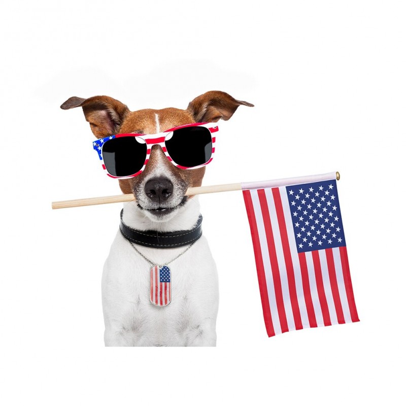 US Flag and Dog - Fu...