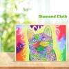 5D DIY Special Shaped Diamond Painting Cat Cross Stitch Mosaic Kits (D1060)