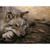 Wolf Full Drill 5D DIY DIY Diamond Painting