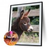Donkey - Full Round Diamond - 30x40cm